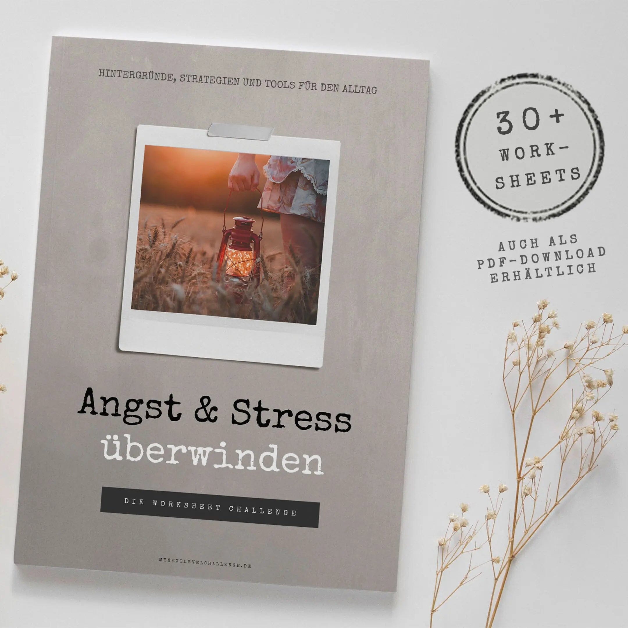 "Angst und Stress überwinden" - Die Worksheet Challenge als DINA4 Workbook mynextlevelchallenge